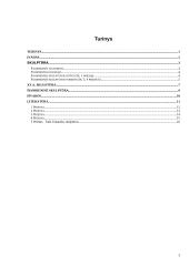 Skulptūra – trimatis kūrinys 2 puslapis