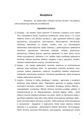 Skulptūra – trimatis kūrinys 4 puslapis