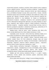 Skulptūra – trimatis kūrinys 6 puslapis