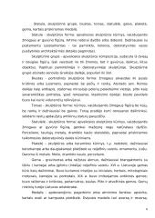 Skulptūra – trimatis kūrinys 7 puslapis