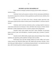 Skurdas ir jo istorinė raida 14 puslapis