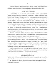 Skurdas ir jo istorinė raida 7 puslapis