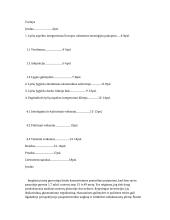 Lyčių lygybės skatinimo procesas Europos Sąjungos valstybėse