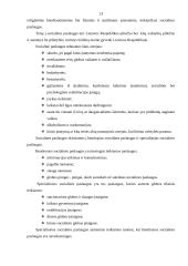 Socialinio darbo samprata 13 puslapis