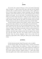 Socialinio darbo samprata 6 puslapis