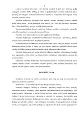 Socialinio darbo samprata 8 puslapis