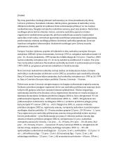 Narkomanijos prevencija, jos problemos