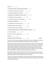 Narkotikai paauglių tarpe ir jų prevencija