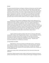 Nedemokratinis šalies valdymas