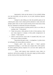 Socioedukacinis  darbas su elgetaujančiais vaikais 3 puslapis