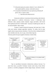 Socioedukacinis  darbas su elgetaujančiais vaikais 7 puslapis