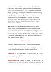 Spalvos gamtoje 5 puslapis