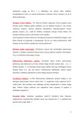 Spalvos gamtoje 6 puslapis