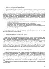 Sveika tėvystė ir motinystė 2 puslapis