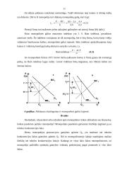 Šaka ir firma monopolinėje rinkoje 11 puslapis