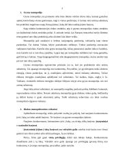 Šaka ir firma monopolinėje rinkoje 3 puslapis