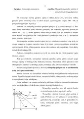Šaka ir firma monopolinėje rinkoje 9 puslapis