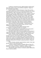 Šiaurės Amerikos augalija ir gyvūnija 5 puslapis