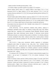 Šiluminių procesų modeliavimas įmonėje AB "Mažeikių nafta" 5 puslapis