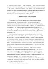 Šiluminių procesų modeliavimas įmonėje AB "Mažeikių nafta" 6 puslapis