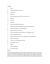 Smurtas ir smurto kultūra