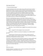 Socialines paslaugos ir jų samprata