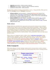 Širdies ir kraujagyslių sistema detaliai 11 puslapis