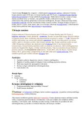 Širdies ir kraujagyslių sistema detaliai 12 puslapis