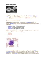 Širdies ir kraujagyslių sistema detaliai 13 puslapis