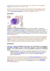 Širdies ir kraujagyslių sistema detaliai 14 puslapis