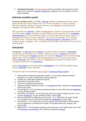 Širdies ir kraujagyslių sistema detaliai 15 puslapis