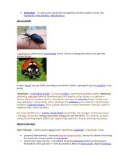 Širdies ir kraujagyslių sistema detaliai 16 puslapis