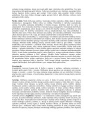 Širdies ir kraujagyslių sistema detaliai 4 puslapis