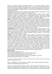 Širdies ir kraujagyslių sistema detaliai 6 puslapis