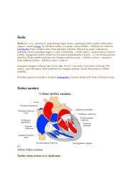Širdies ir kraujagyslių sistema detaliai 10 puslapis