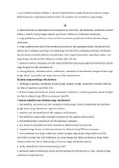 Šlaitiniai stogai 6 puslapis