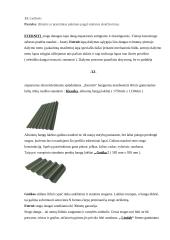 Šlaitiniai stogai 10 puslapis