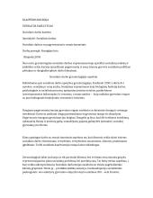 Socialinis darbas su pagyvenusiais bei senais žmonėmis