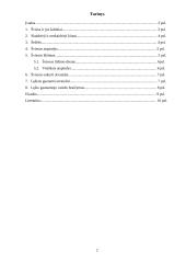 Šviesa ir jos reiškiniai 2 puslapis