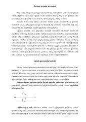 Šviesa ir jos reiškiniai 7 puslapis