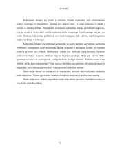 Tarnybinė apranga 3 puslapis