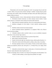 Tarnybinė apranga 10 puslapis