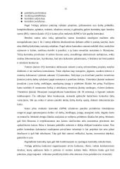 Tarptautinės prekybos uždaviniai 11 puslapis