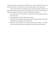 Tarptautinės prekybos uždaviniai 4 puslapis