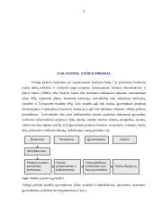 Tarptautinės prekybos uždaviniai 9 puslapis