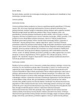 Teisėsaugos institucijos ir korupcija