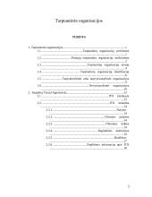 Tarptautinės organizacijos (referatas)