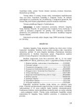 Tarptautinės organizacijos (referatas) 19 puslapis