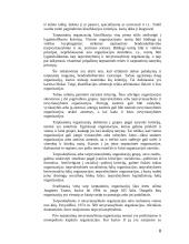 Tarptautinės organizacijos (referatas) 8 puslapis