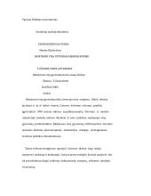 Mokymosi visą gyvenimą memorandumo 3-ios tezės aptarimas